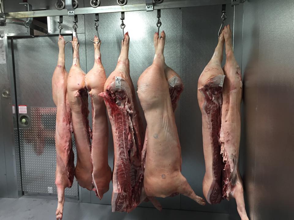 Pork
