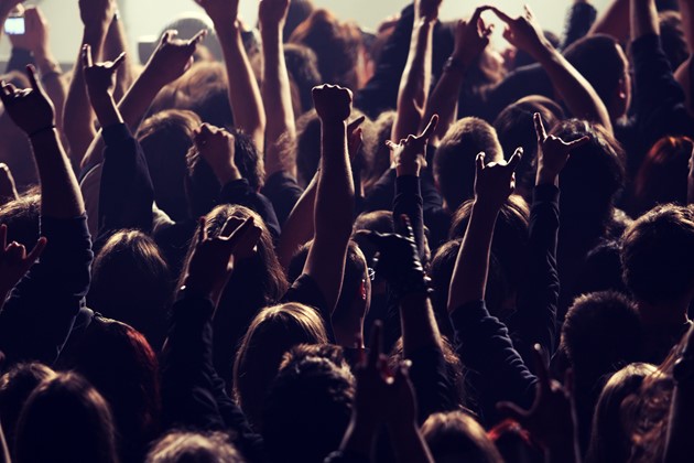livemusicaudience.jpeg