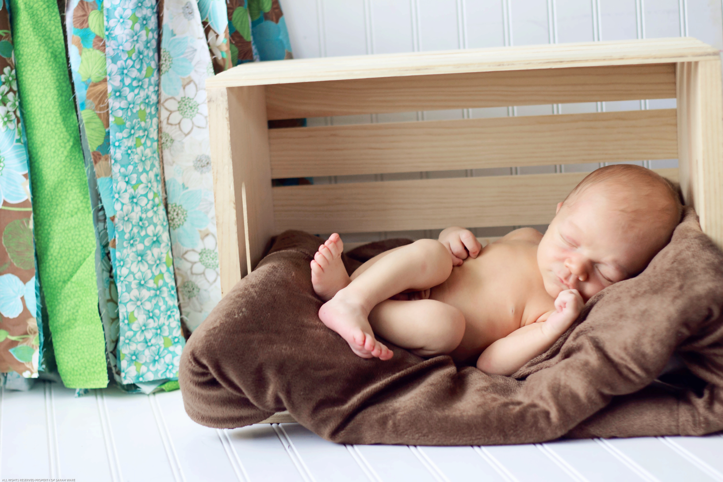 Sweet sleeping babies are so much fun to photograph! 