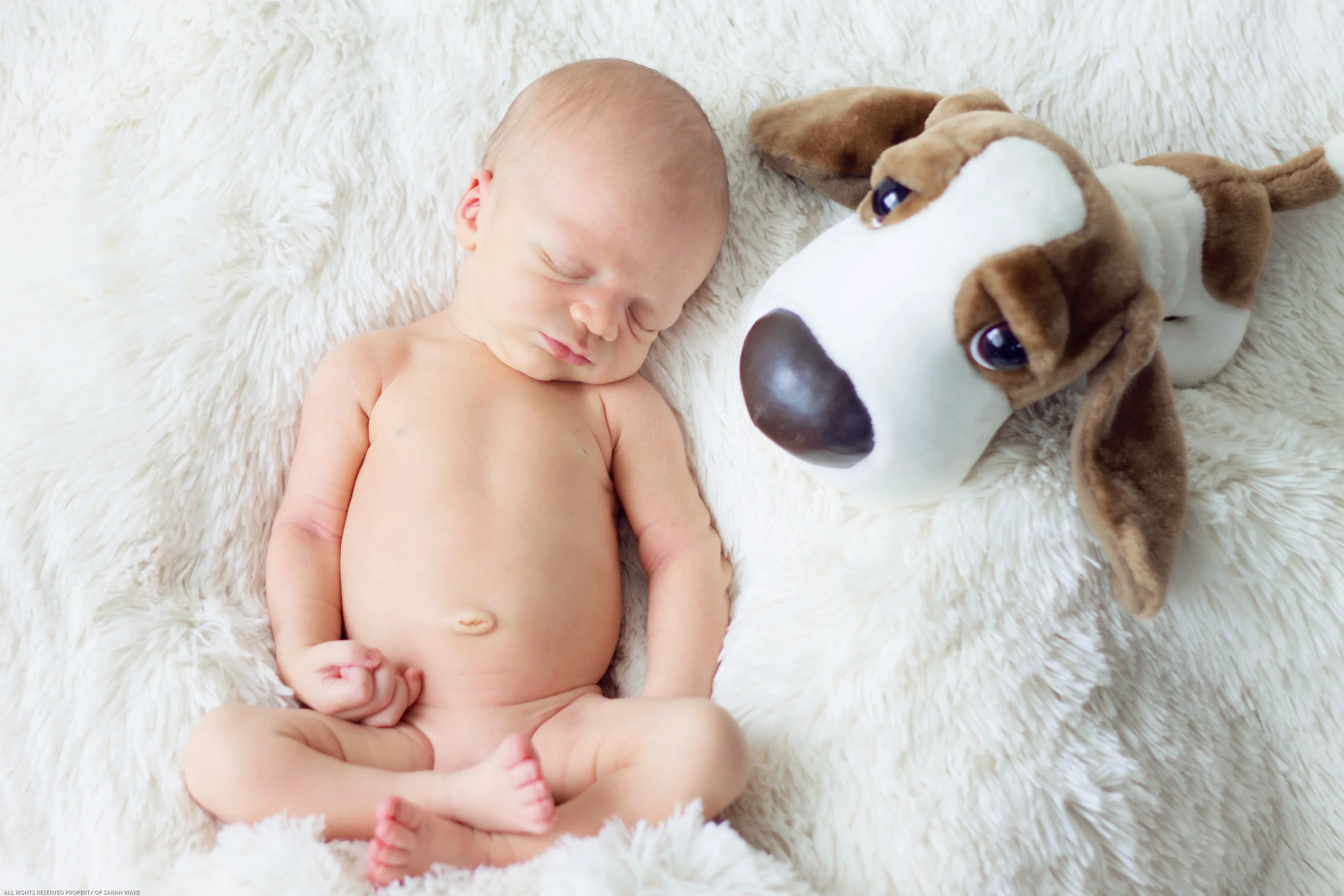 Feel free to bring any of your own special blankets or stuffed animals!