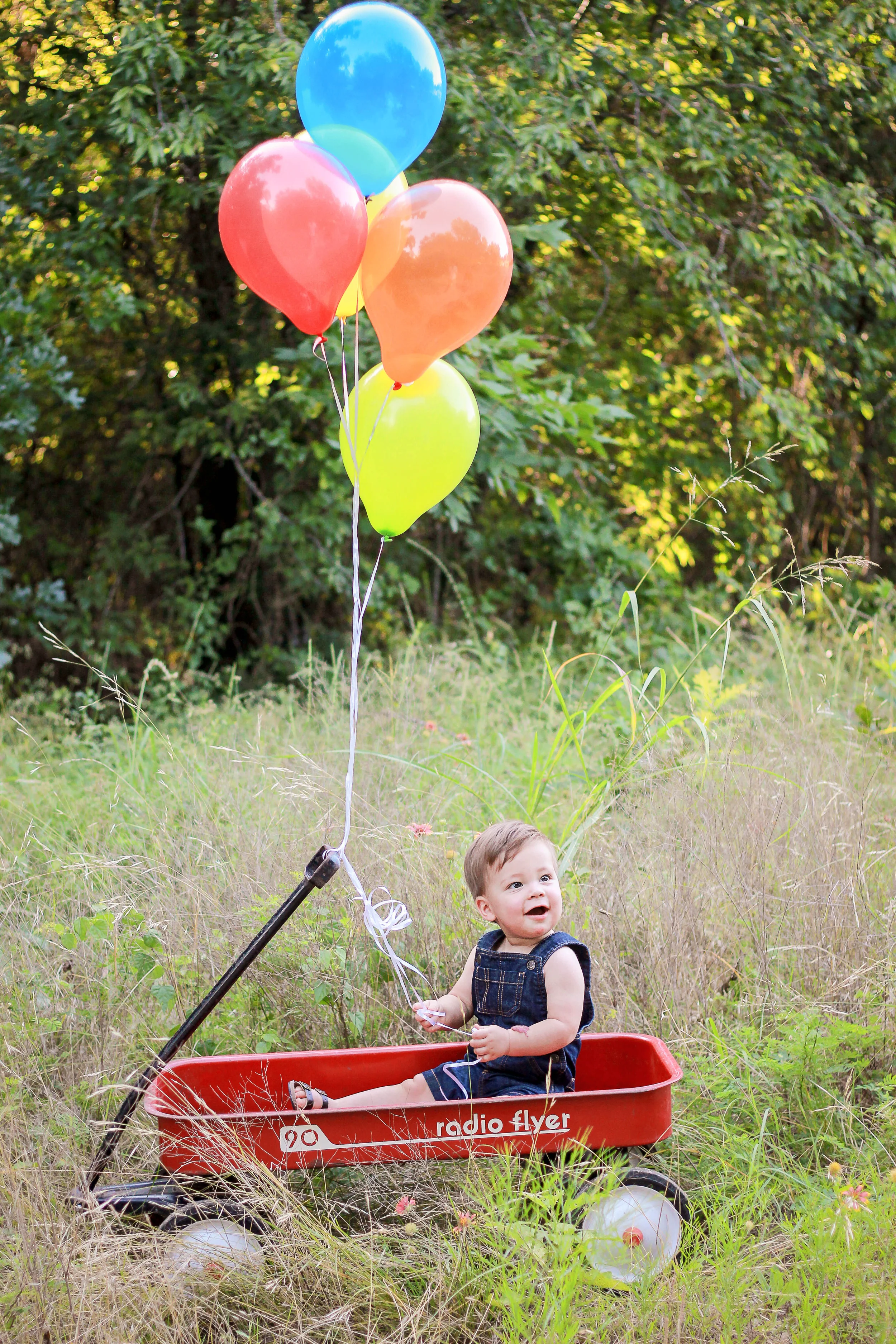 First Birthday Session, Arbor Hills Nature Preserve