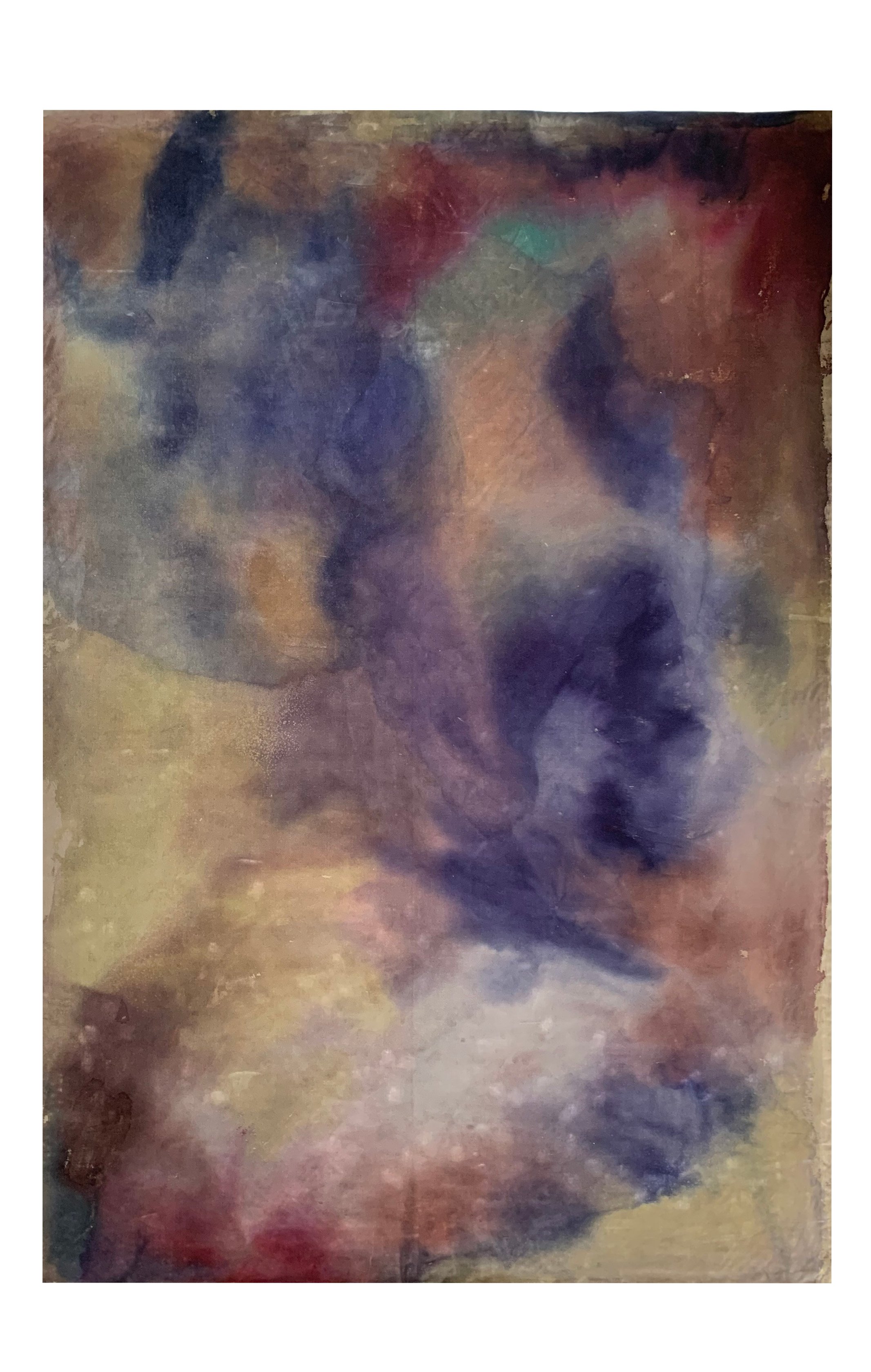   Empress   55” x 84” 2023, Painted silk velvet tapestry  