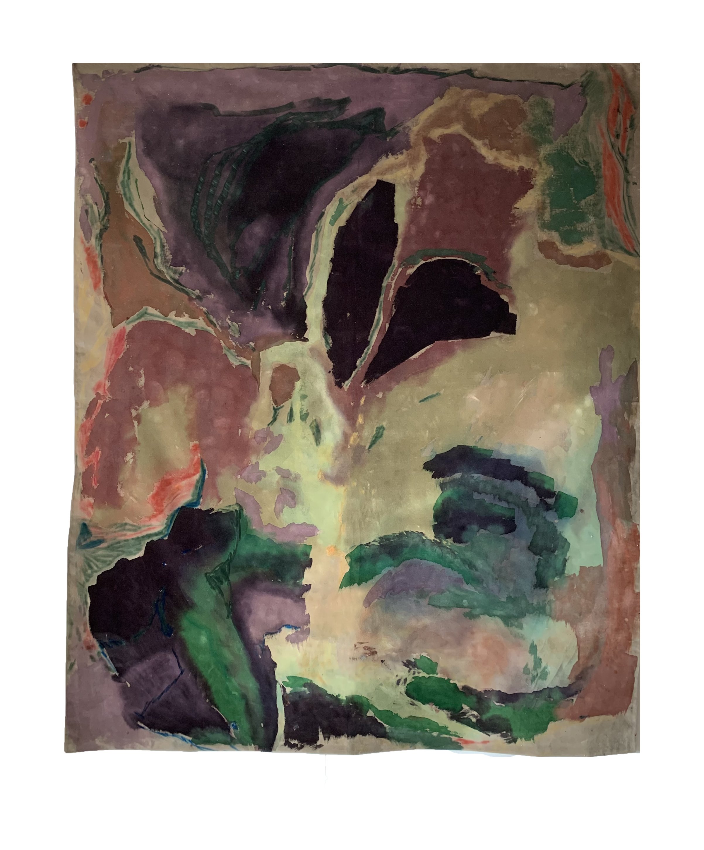   Butterfly Wings   55”x 66” 2023, Painted silk velvet tapestry  