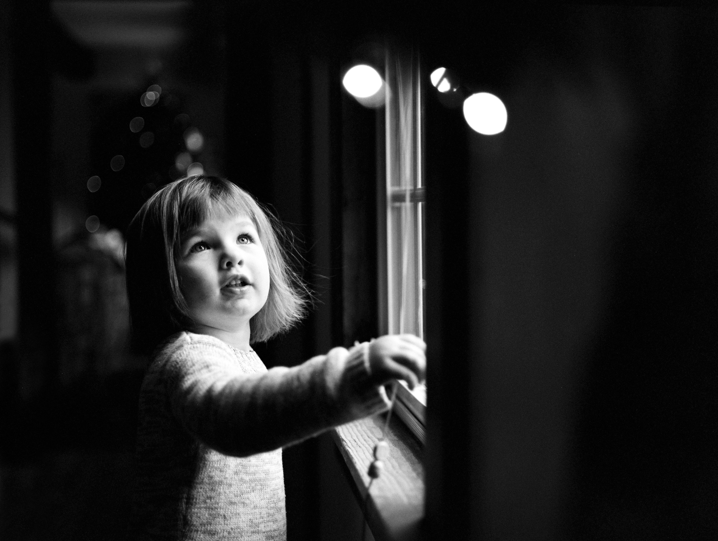 Window Light (645n :: HP5) 4a/366