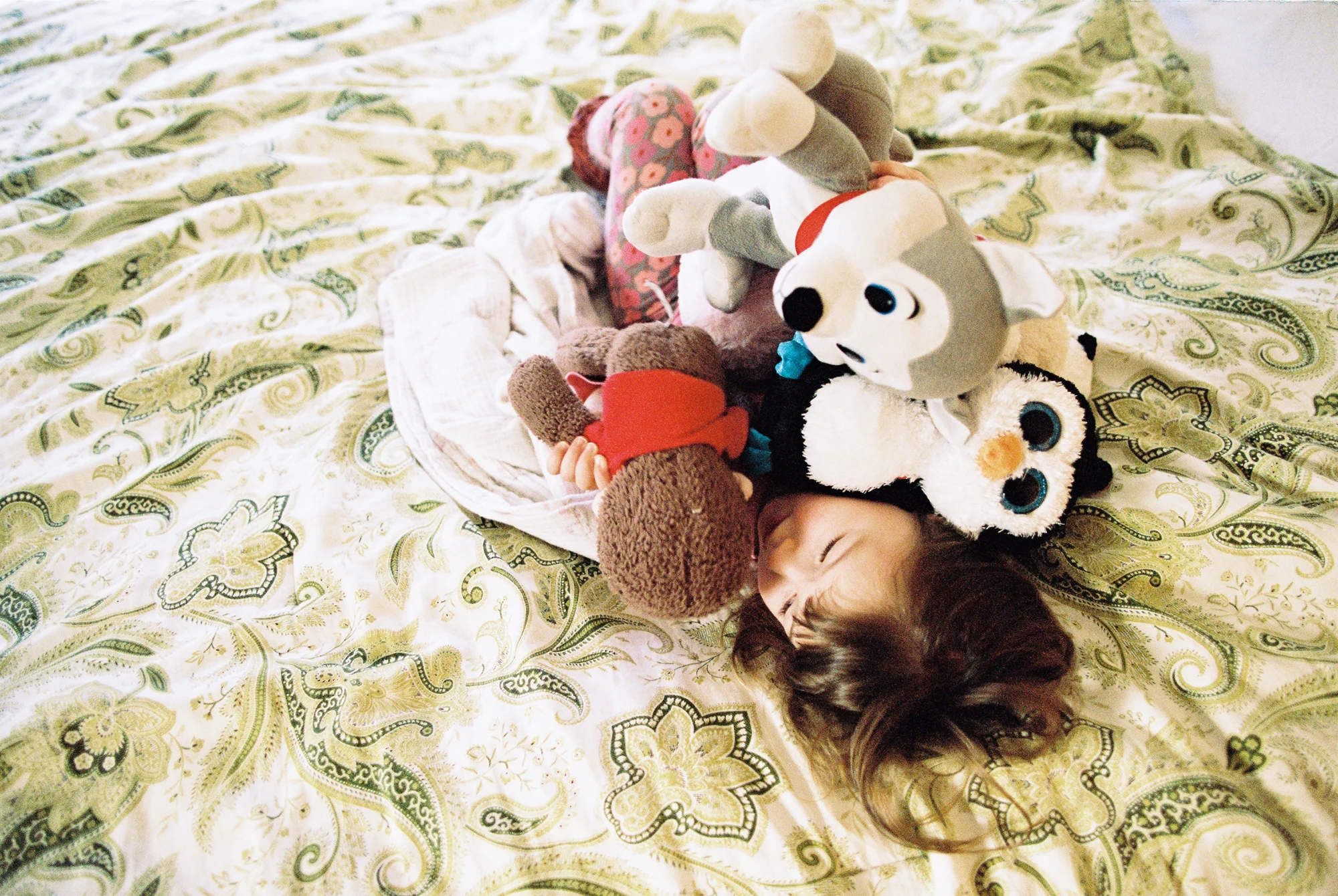 Pile of buddies (EOS 3 :: Portra 400 @ 800) 5/366