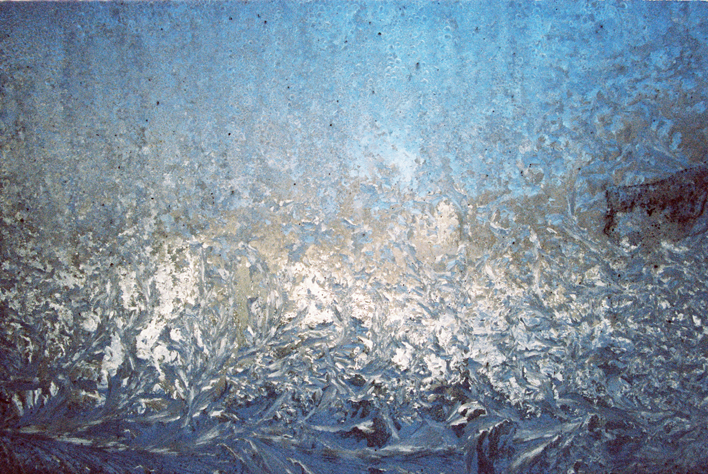 Ice on the inside (EOS 3 :: Kodak Gold 400) 12/366