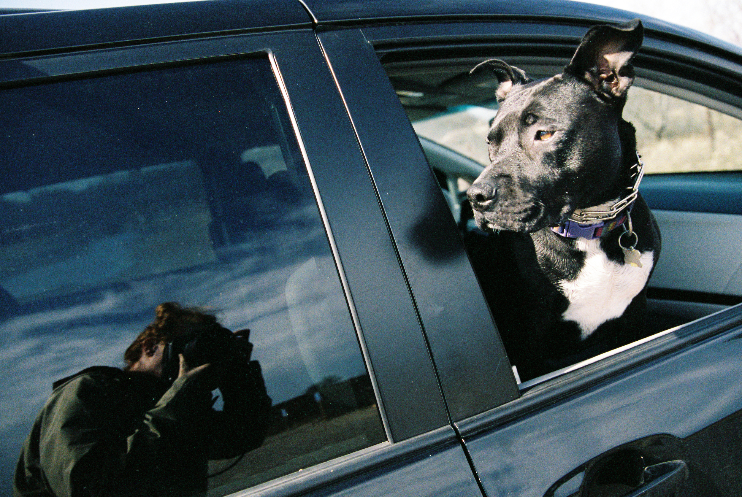 Co-Pilot (Canon 1v :: Fuji400h @ 200) 57/366