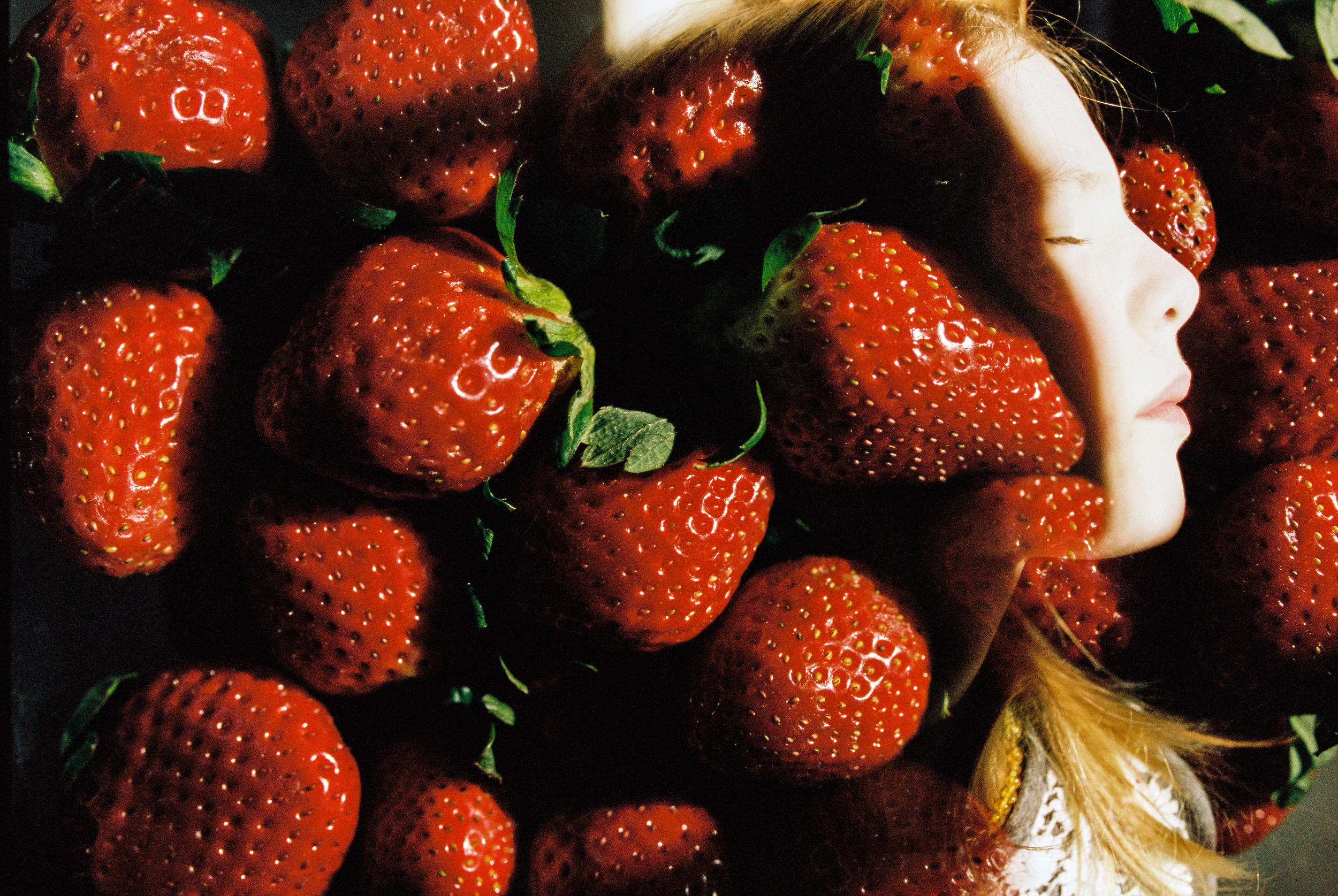 Strawberries (Canon 1v :: Portra 400) 65/366