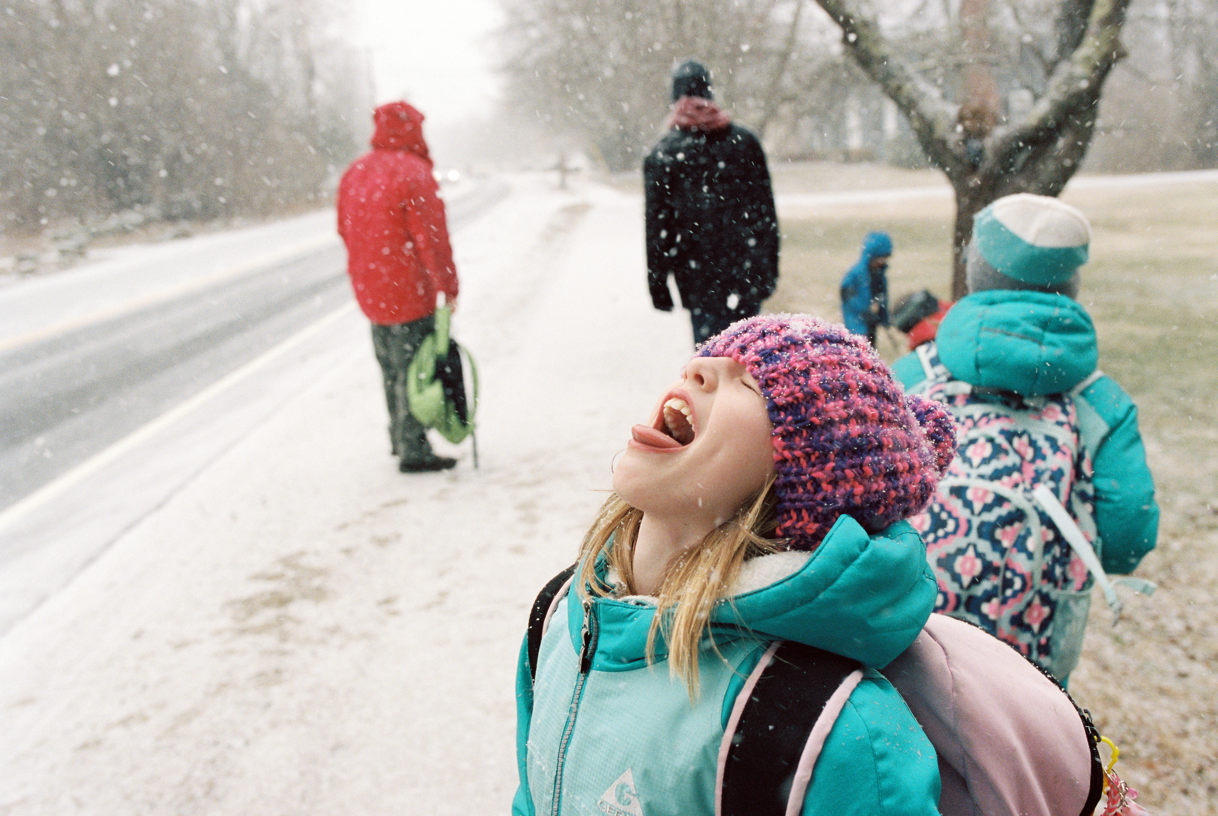 March Snow (Canon 1v :: Portra 400) 66/366