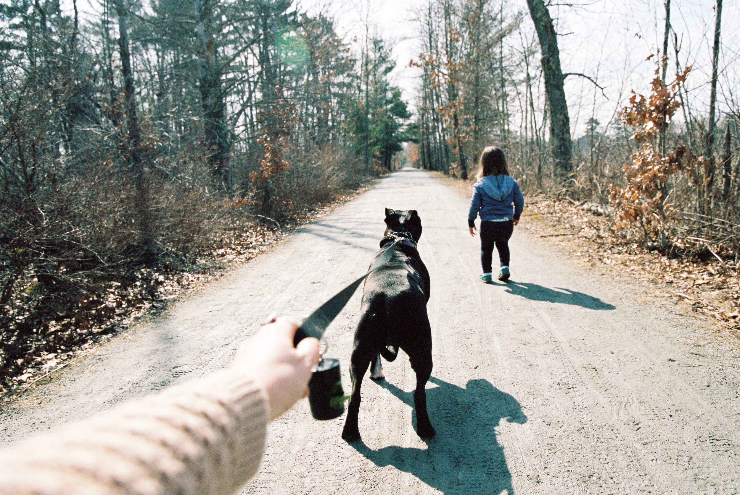 Bike Path (Canon 1v :: Portra 400) 72/366