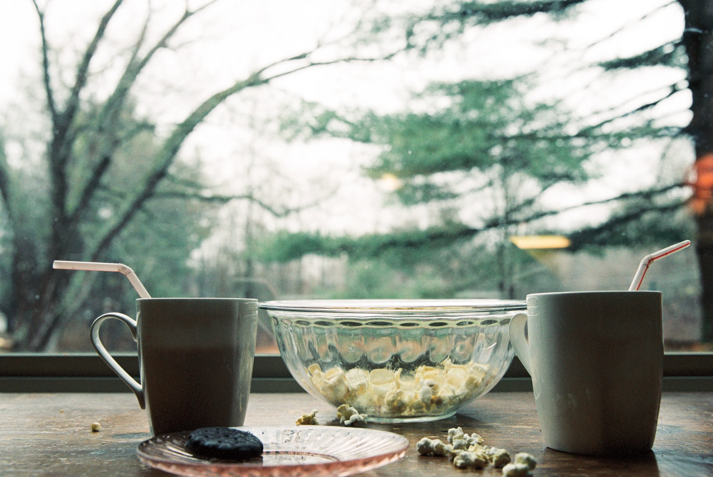 Afterschool Snacks (Canon 1v :: Portra 160) 73/366