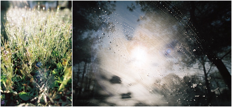 Early Morning (Canon 1v :: Fuji 200c) 116/366
