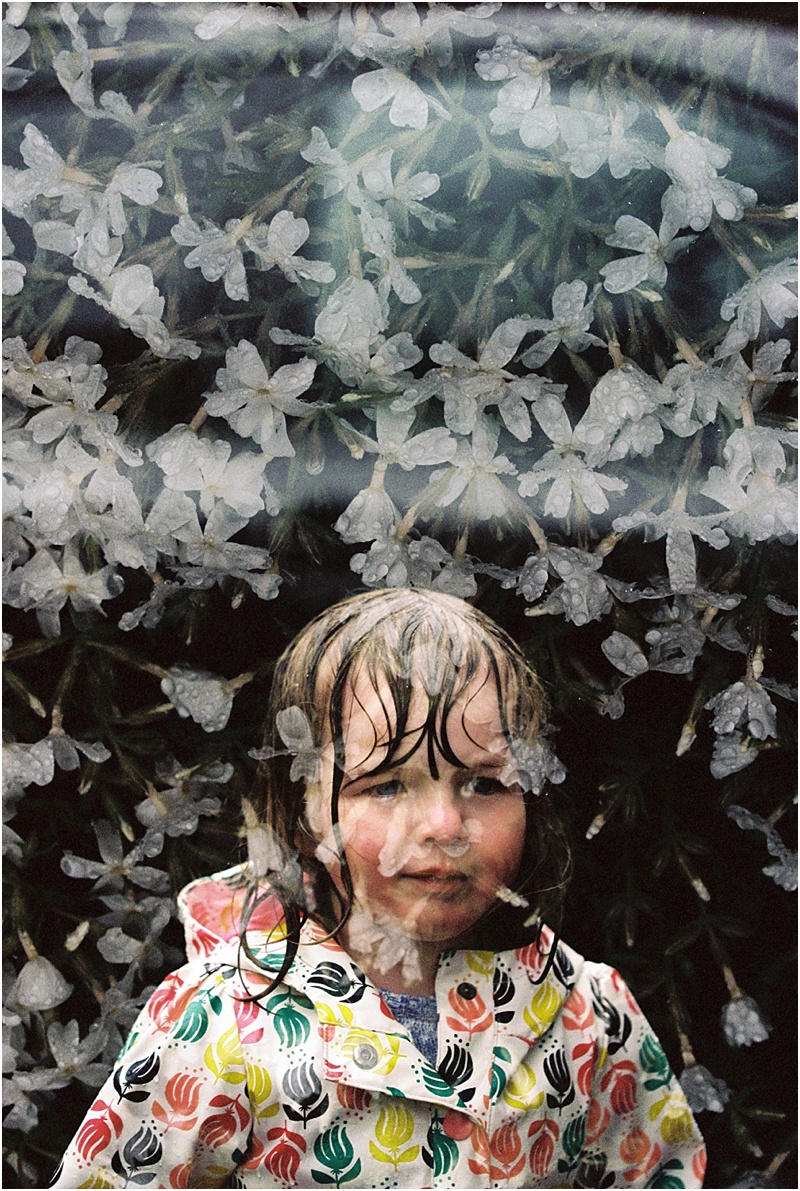 Rain & Flowers (Canon 1v :: Portra 400) 111/366
