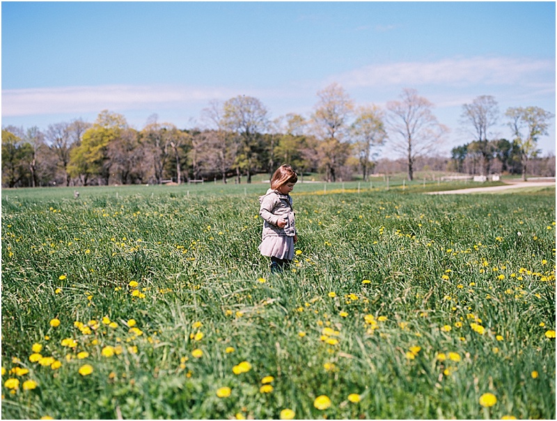 Appleton (Pentax 645n :: Ektar 100) 125/366