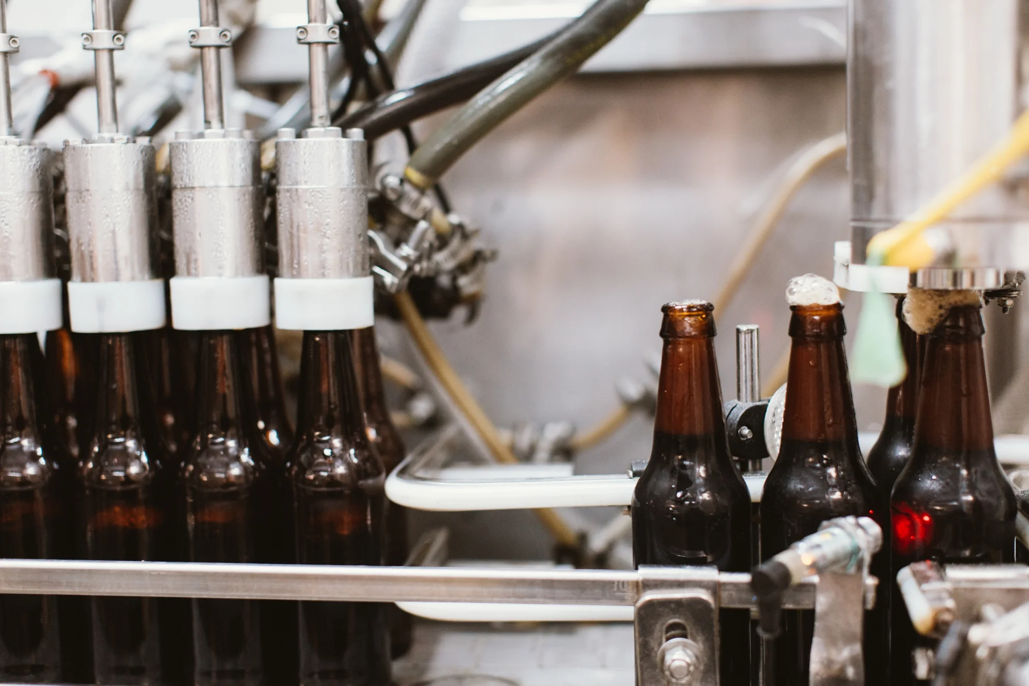 The Finches 3 Sheeps Brewing_0051.jpg