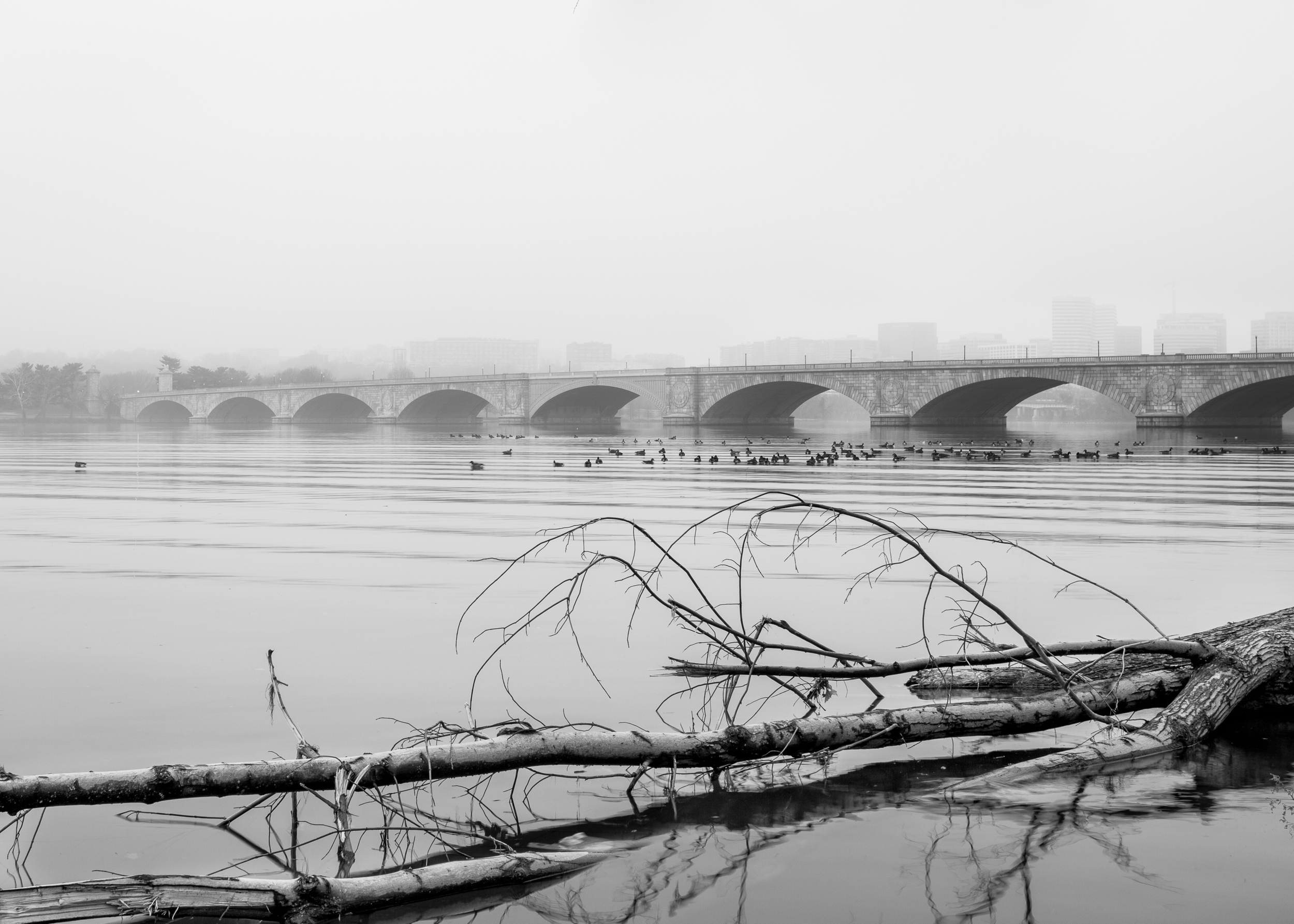 BW--6.jpg