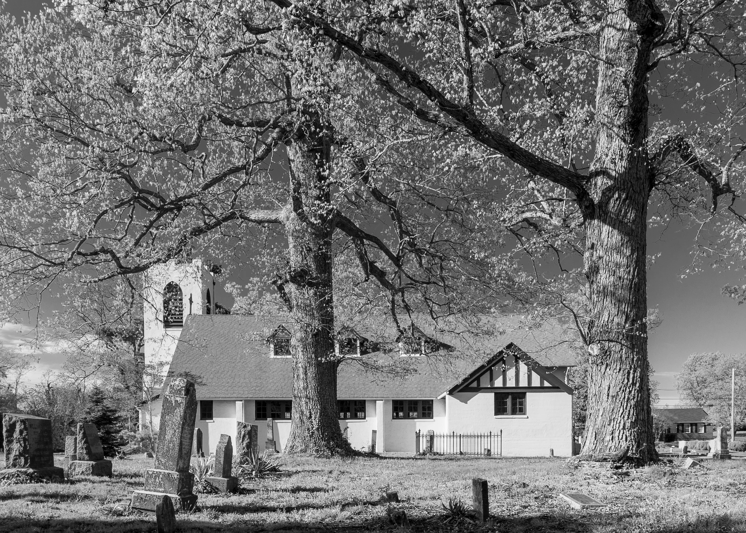BW-4116.jpg