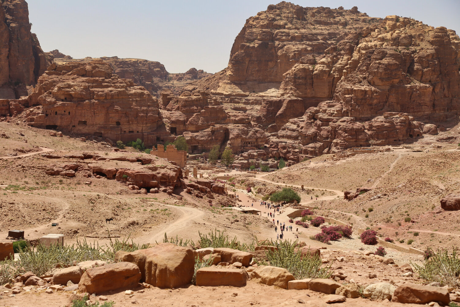 Petra Valley