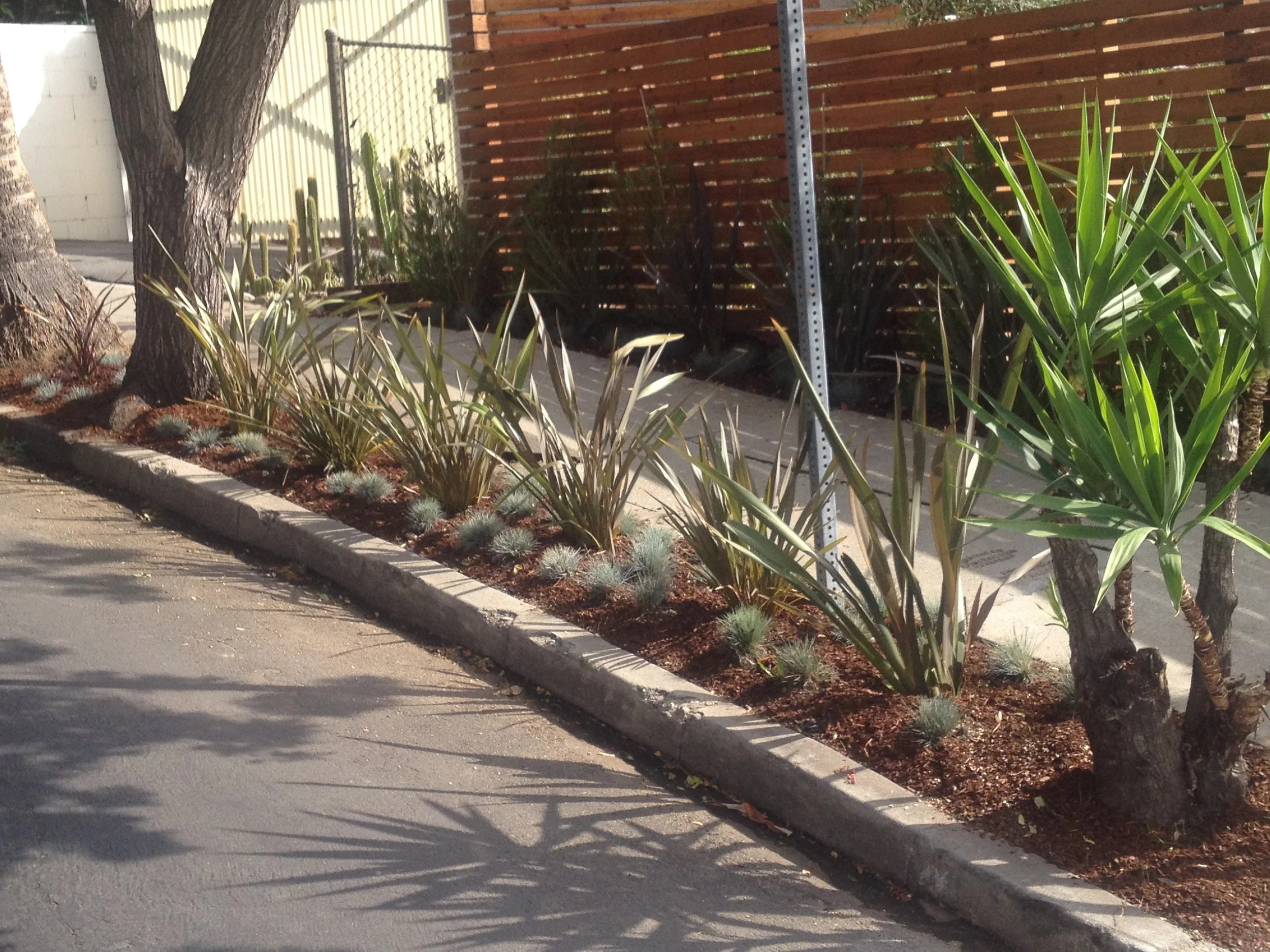 Silver Lake Streetscape.JPG