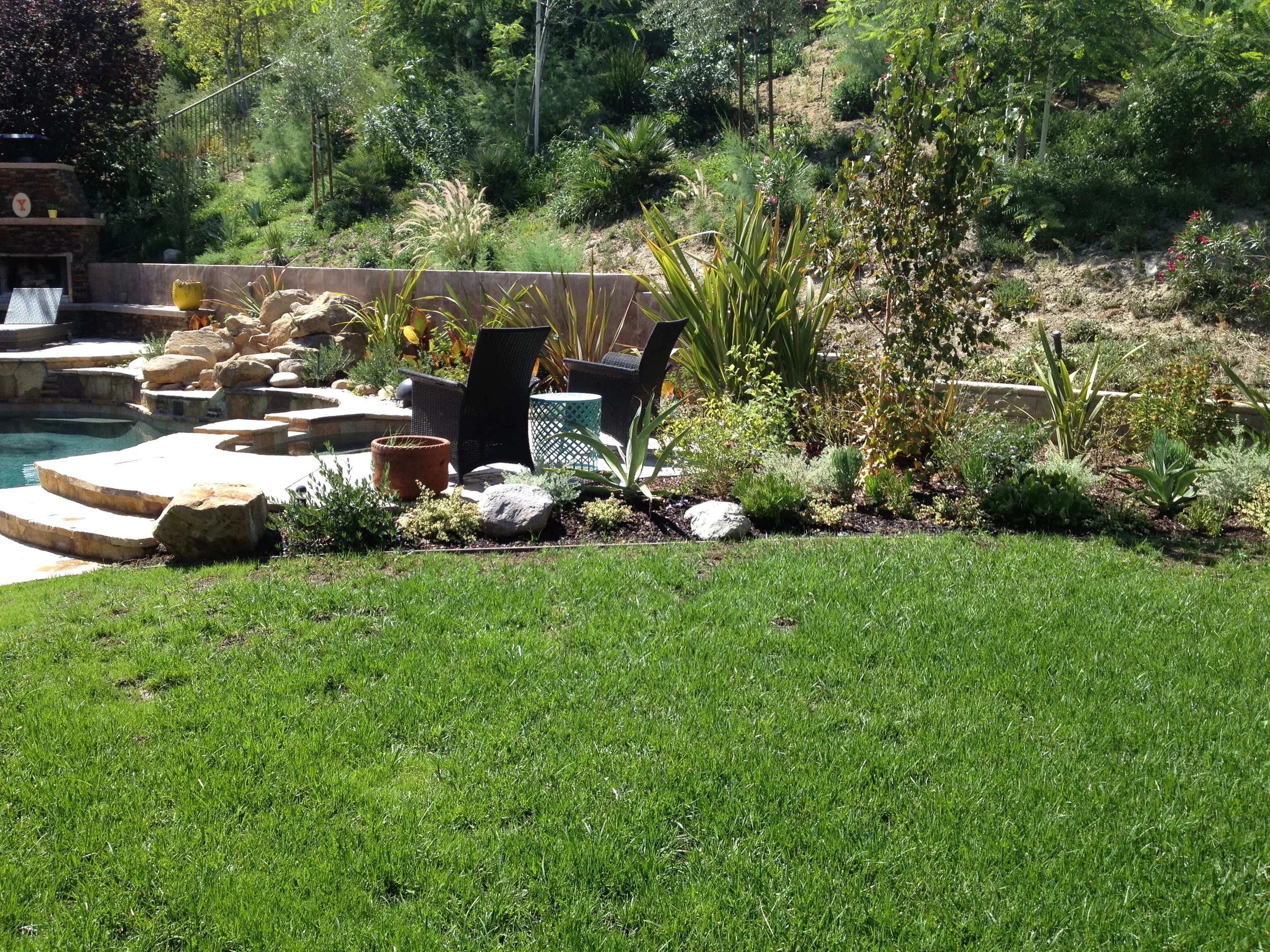 Stevenson Ranch After plants.jpg