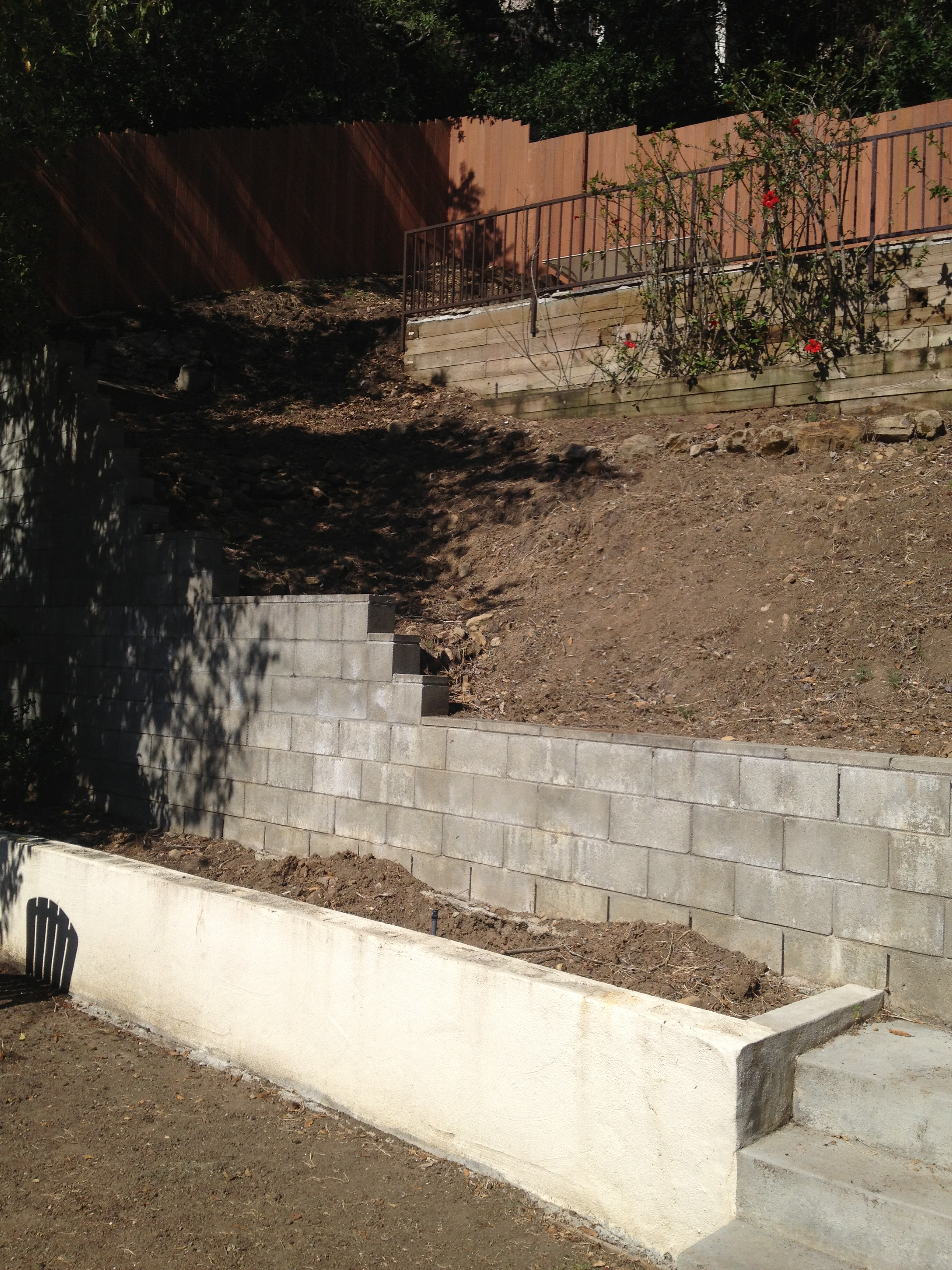 Hollywood Hills East Slope Before.jpg