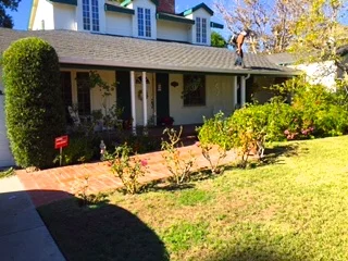 Before Lawn Reduction Colfax Meadows