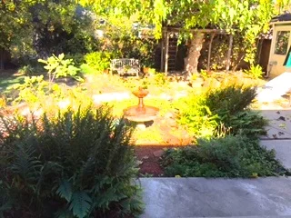 Before Lawn and Garden Renovation