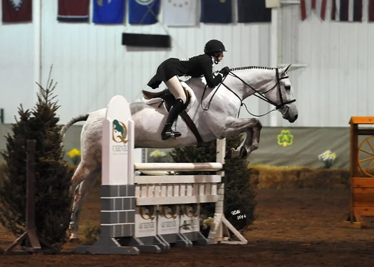 Alissa Greenwald and Little Fred.