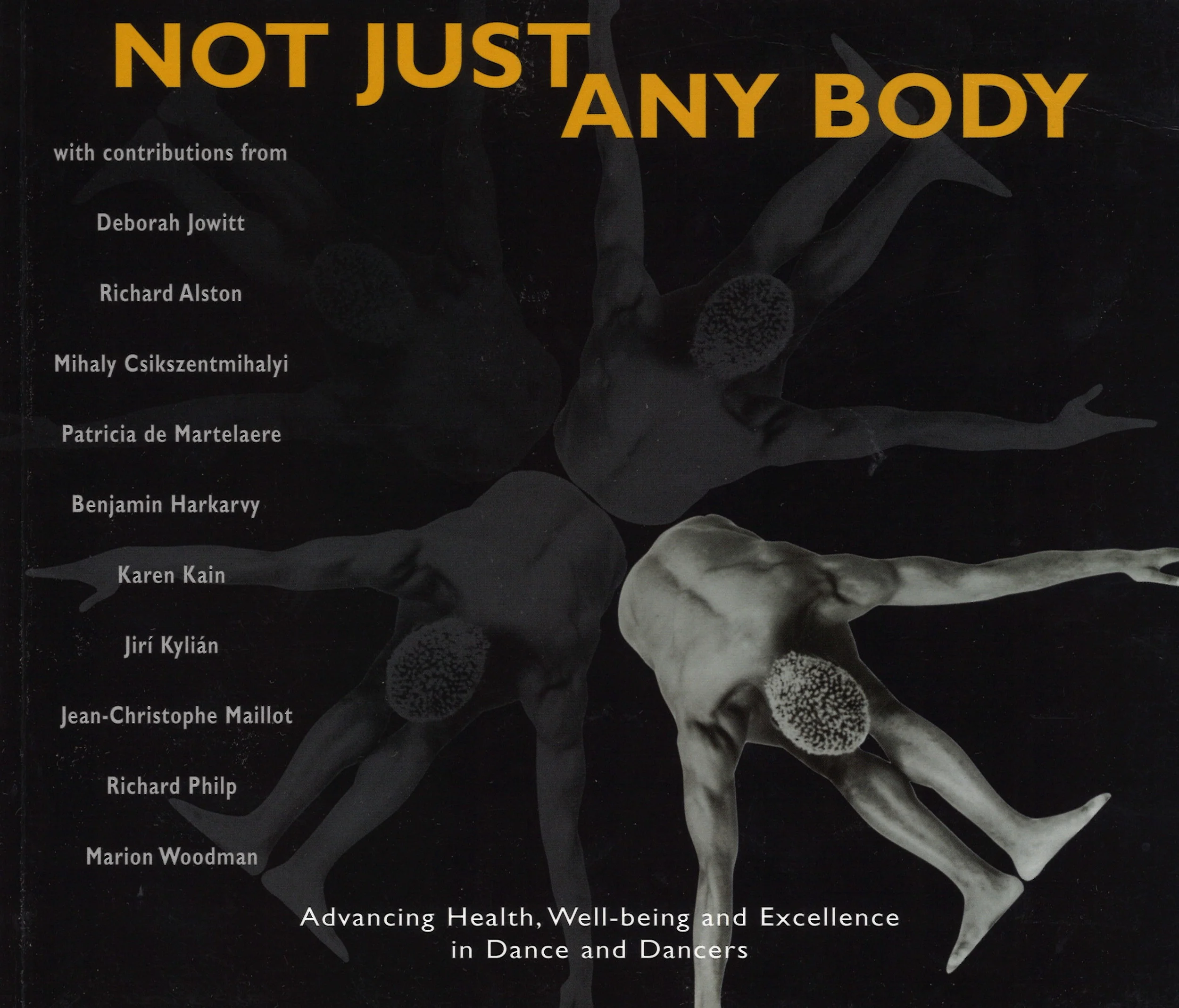 The book, Not Just Any Body, was published one year after the conference. 