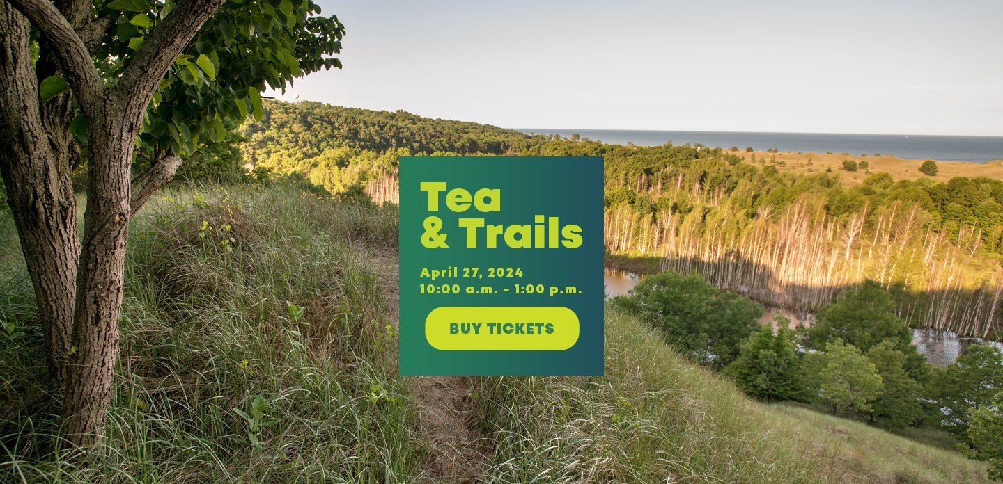 tea+and+trails+website+homepage+banner.jpg