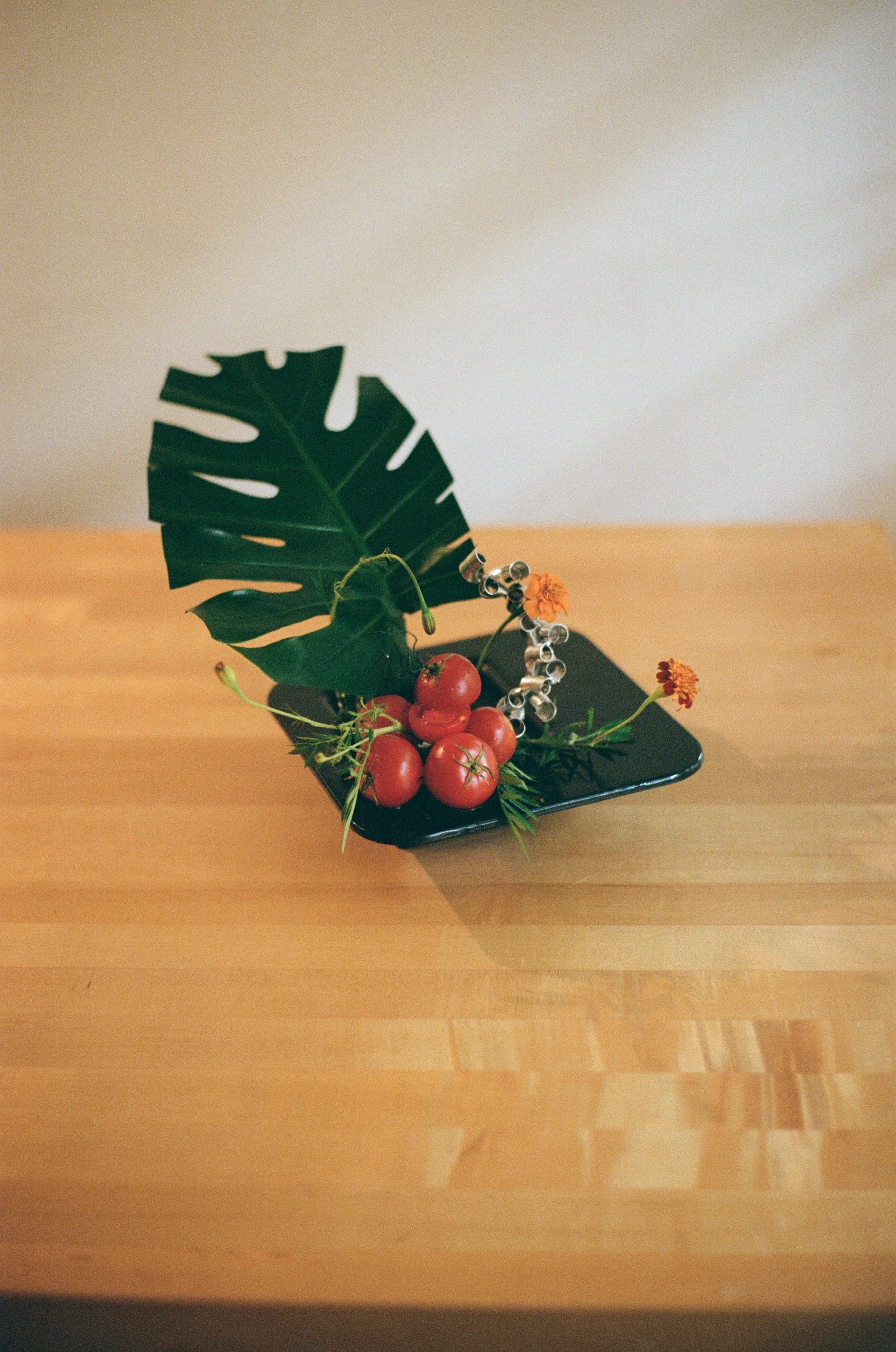 KanskyN_4 - Noya Kansky.jpg