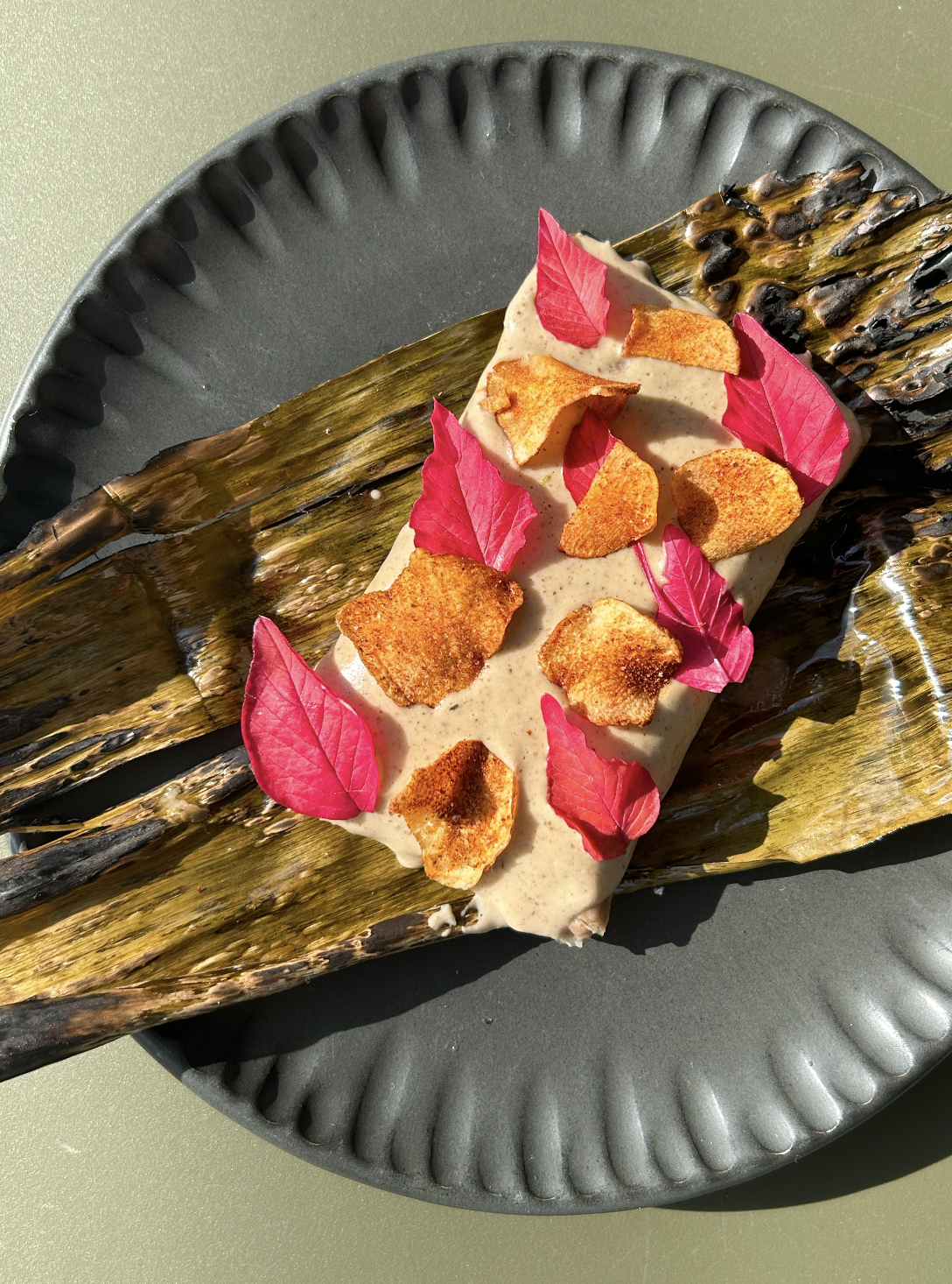 Screenshot 2025-06-02 at 3.30.23 PM - Luna Vela.png