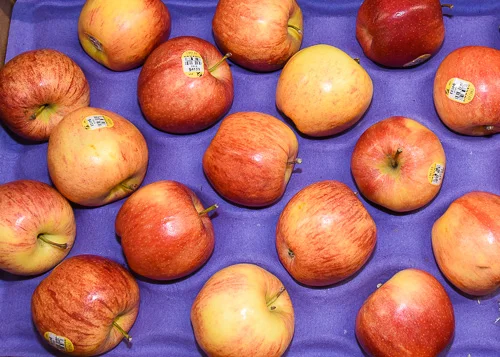 Fuji Apple