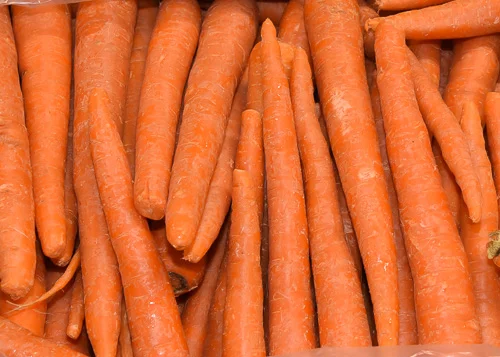 Carrot