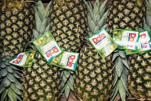 Pineapple, Organic