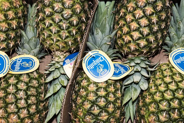 Pinapple
