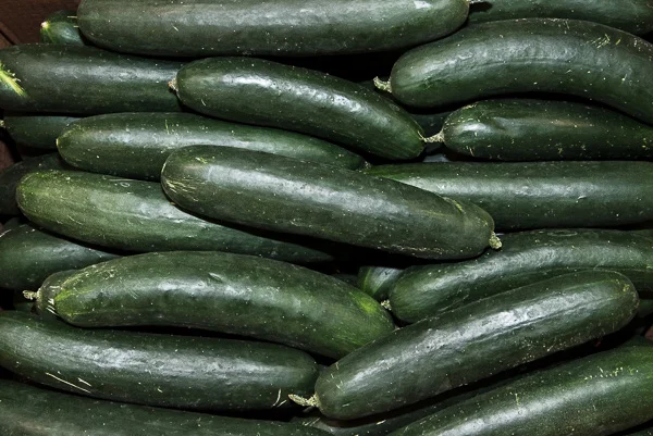 Cucumber, Organic