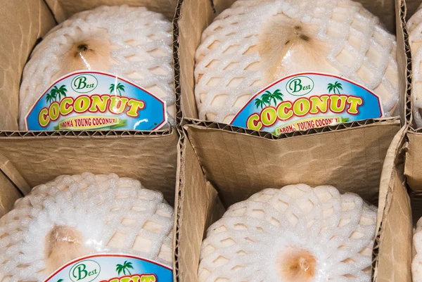 Young Thai Coconut