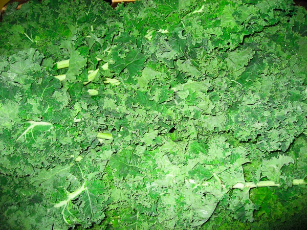 Kale, Organic