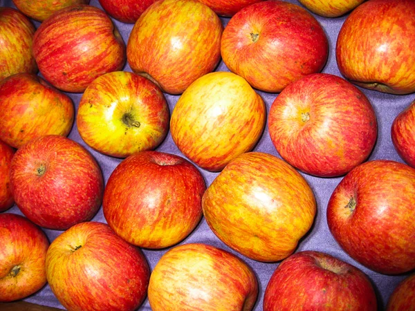 Fuji Apple, Organic