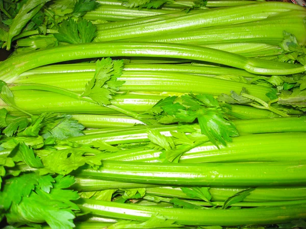 Celery, Organic