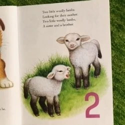 2lambs.jpg