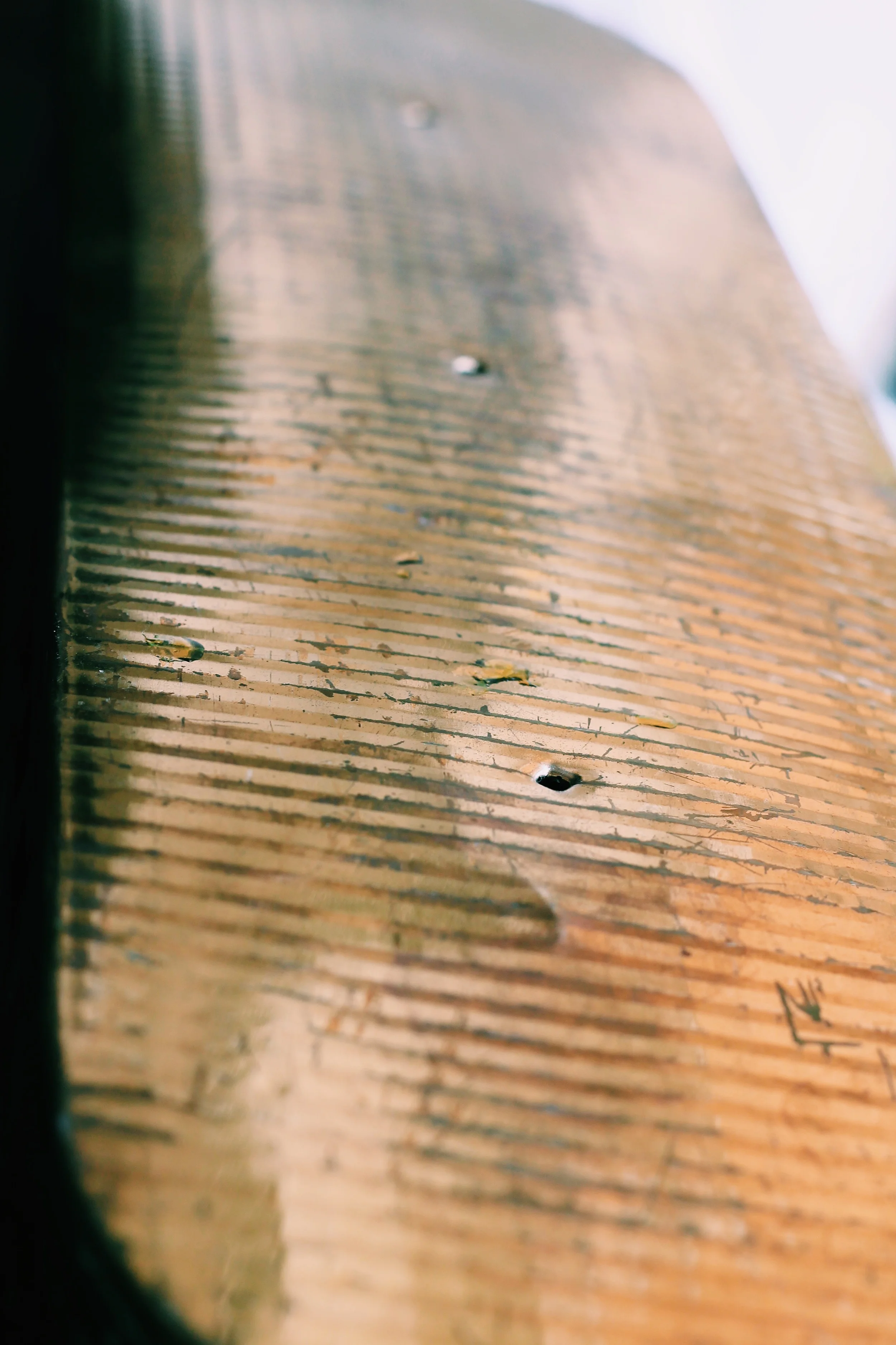 If whatever planter you choose does not have holes you must add them! Holes are crucial for drainage when watering your cactus. I used a hammer and nails to poke a couple across the bottom. 