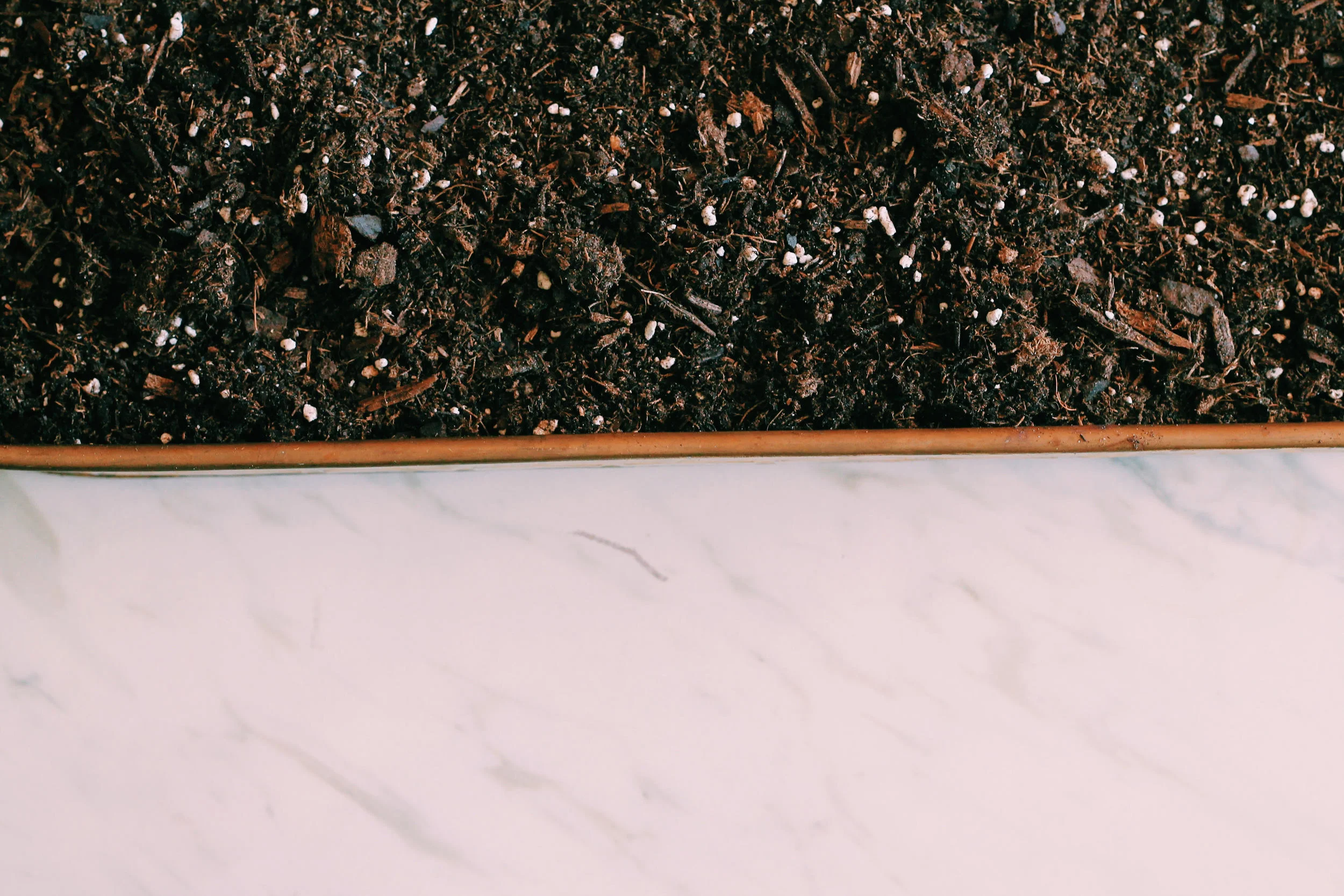 Add your potting soil nearly to the rim. You need to add enough dirt to cover the plants roots entirely. 