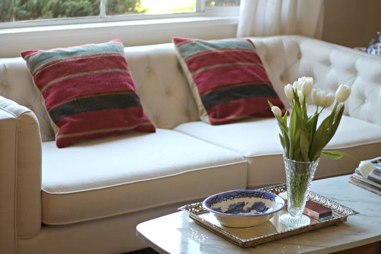 I love these Pottery Barn pillows, they give out a total boho vibe which is a great balance for my modern couch. When I am feeling eclectic I will pull these beauties out! 