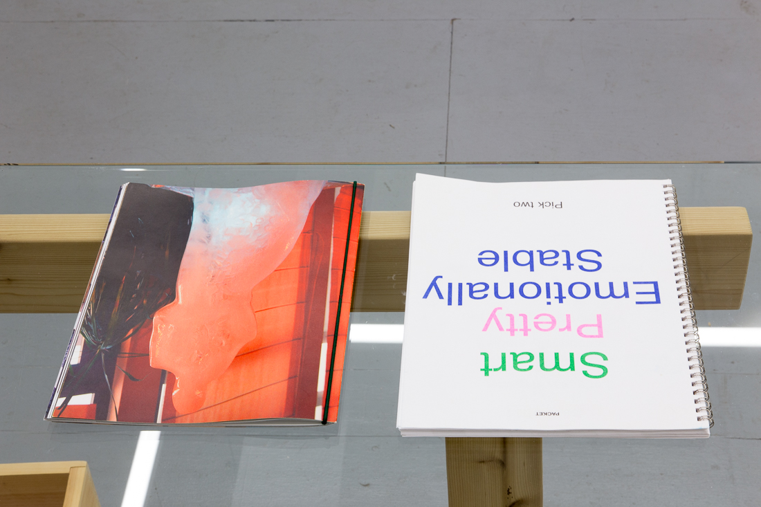  Installation view of the exhibition Publish or Perish at Transmitter 