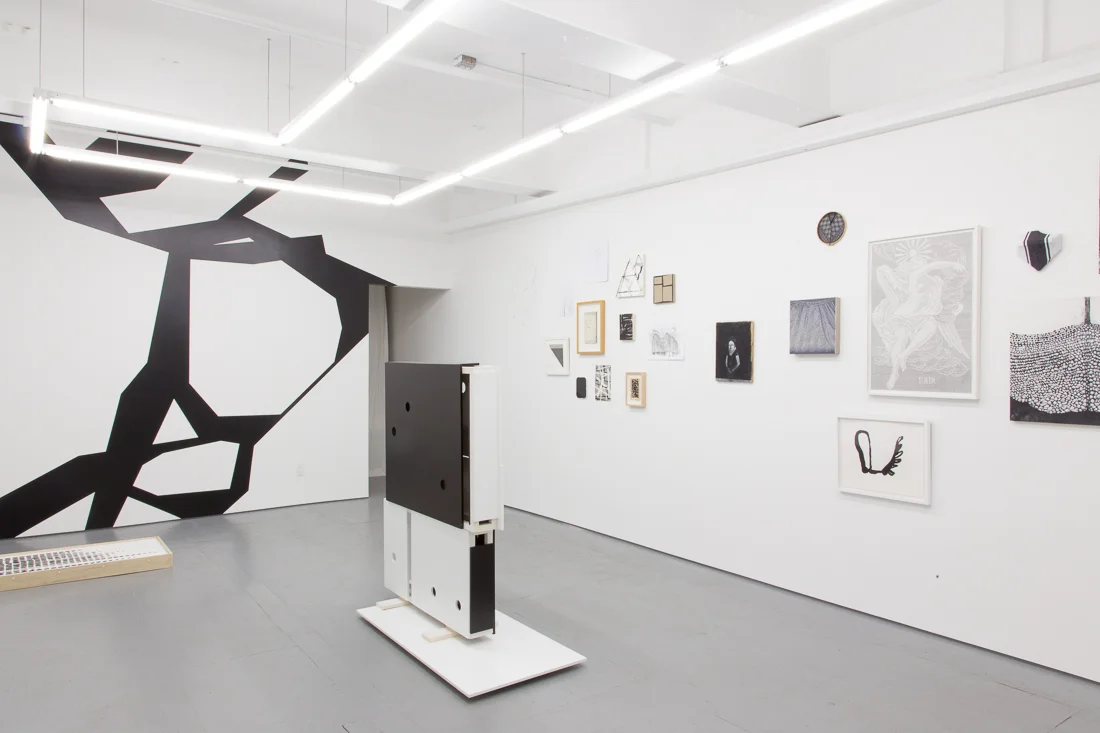 Installation view of the exhibition The Black and White Show at Transmitter