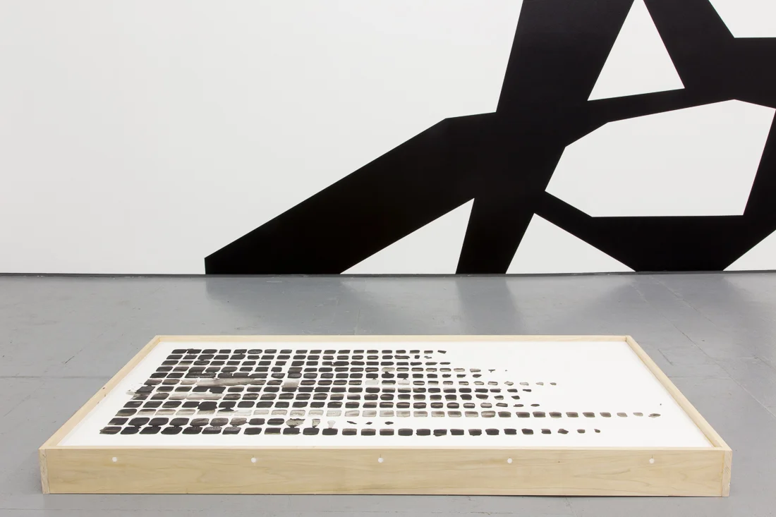 Installation view of the exhibition The Black and White Show at Transmitter