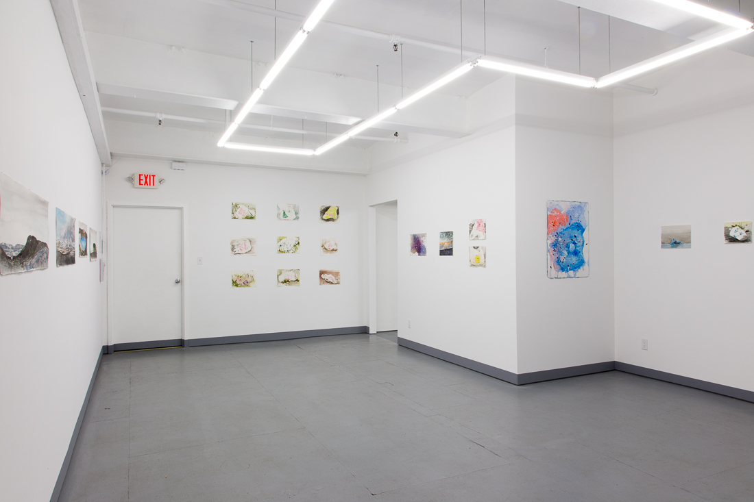  Installation view of Waterlogged at Transmitter 