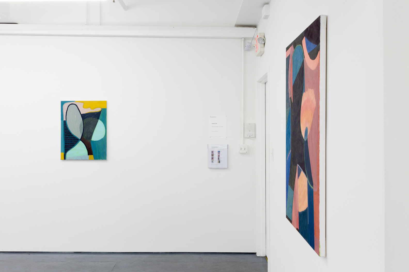  Installation view of the exhibition Armature by Liz Ainslie at Transmitter 